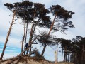 Wilder Weststrand