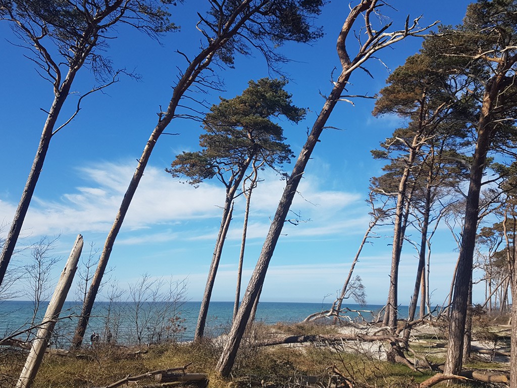 Wilder Weststrand